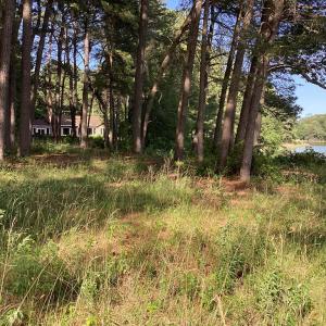 Photo #34 of A6B WHITE TAIL LANE, MACHIPONGO, VA 2.5 acres