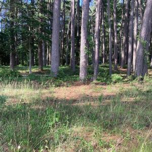 Photo #35 of A6B WHITE TAIL LANE, MACHIPONGO, VA 2.5 acres