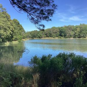 Photo #36 of A6B WHITE TAIL LANE, MACHIPONGO, VA 2.5 acres