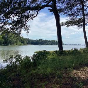 Photo #38 of A6B WHITE TAIL LANE, MACHIPONGO, VA 2.5 acres