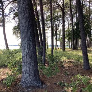 Photo #39 of A6B WHITE TAIL LANE, MACHIPONGO, VA 2.5 acres