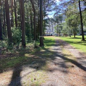 Photo #4 of A6B WHITE TAIL LANE, MACHIPONGO, VA 2.5 acres