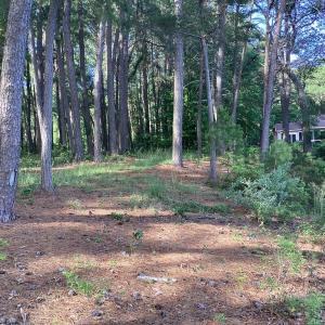 Photo #40 of A6B WHITE TAIL LANE, MACHIPONGO, VA 2.5 acres