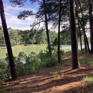 Photo #42 of A6B WHITE TAIL LANE, MACHIPONGO, VA 2.5 acres