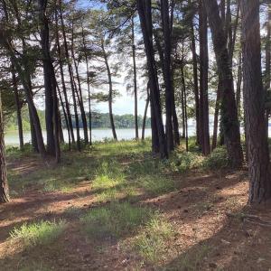 Photo #43 of A6B WHITE TAIL LANE, MACHIPONGO, VA 2.5 acres