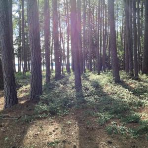 Photo #44 of A6B WHITE TAIL LANE, MACHIPONGO, VA 2.5 acres