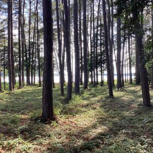 Photo #49 of A6B WHITE TAIL LANE, MACHIPONGO, VA 2.5 acres