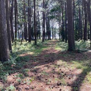 Photo #5 of A6B WHITE TAIL LANE, MACHIPONGO, VA 2.5 acres