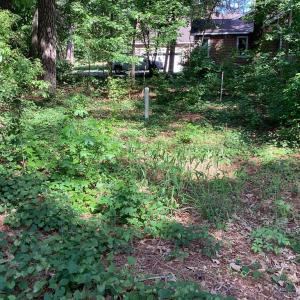 Photo #6 of A6B WHITE TAIL LANE, MACHIPONGO, VA 2.5 acres