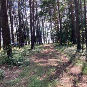 Photo #8 of A6B WHITE TAIL LANE, MACHIPONGO, VA 2.5 acres