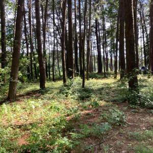 Photo #9 of A6B WHITE TAIL LANE, MACHIPONGO, VA 2.5 acres