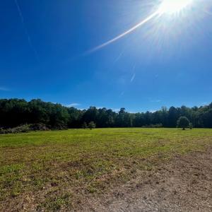 Photo #10 of LOTS 1-8 GRAY FARM RD, TEMPERANCEVILLE, VA 25.3 acres