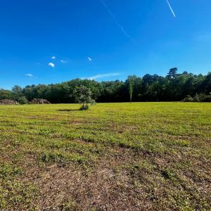 Photo #12 of LOTS 1-8 GRAY FARM RD, TEMPERANCEVILLE, VA 25.3 acres