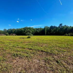Photo #13 of LOTS 1-8 GRAY FARM RD, TEMPERANCEVILLE, VA 25.3 acres