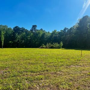 Photo #14 of LOTS 1-8 GRAY FARM RD, TEMPERANCEVILLE, VA 25.3 acres