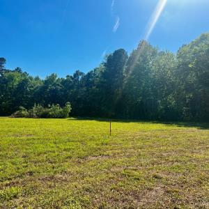 Photo #15 of LOTS 1-8 GRAY FARM RD, TEMPERANCEVILLE, VA 25.3 acres