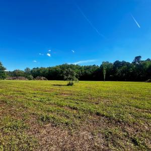 Photo #17 of LOTS 1-8 GRAY FARM RD, TEMPERANCEVILLE, VA 25.3 acres