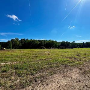 Photo #5 of LOTS 1-8 GRAY FARM RD, TEMPERANCEVILLE, VA 25.3 acres