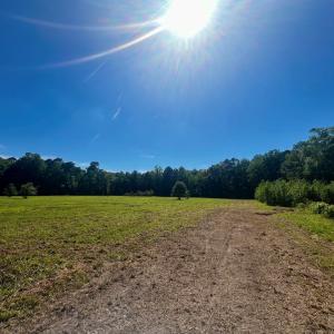 Photo #9 of LOTS 1-8 GRAY FARM RD, TEMPERANCEVILLE, VA 25.3 acres