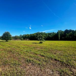 Photo #18 of LOTS 1-8 GRAY FARM RD, TEMPERANCEVILLE, VA 25.3 acres