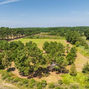 Photo #15 of BUNTING POINT RD, WACHAPREAGUE, VA 27.5 acres