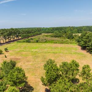 Photo #16 of BUNTING POINT RD, WACHAPREAGUE, VA 27.5 acres