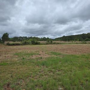 Photo #4 of BUNTING POINT RD, WACHAPREAGUE, VA 27.5 acres