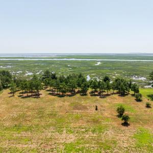 Photo #7 of BUNTING POINT RD, WACHAPREAGUE, VA 27.5 acres