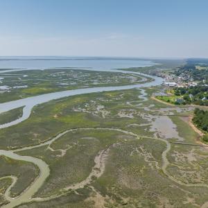 Photo #13 of BUNTING POINT RD, WACHAPREAGUE, VA 24.6 acres