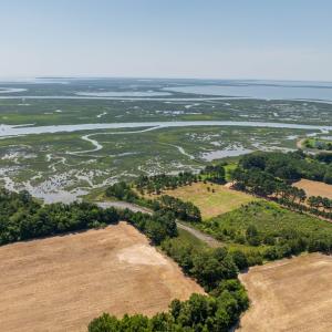 Photo #18 of BUNTING POINT RD, WACHAPREAGUE, VA 24.6 acres