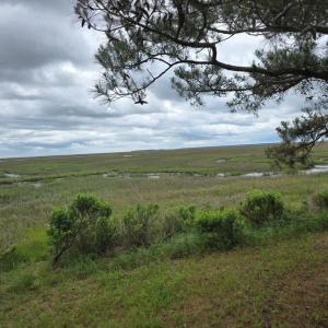 Photo #2 of BUNTING POINT RD, WACHAPREAGUE, VA 24.6 acres