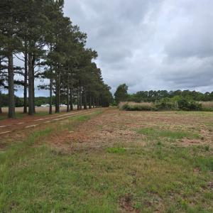 Photo #3 of BUNTING POINT RD, WACHAPREAGUE, VA 24.6 acres