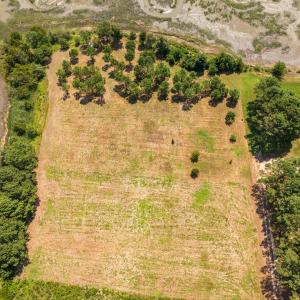 Photo #8 of BUNTING POINT RD, WACHAPREAGUE, VA 24.6 acres