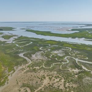 Photo #9 of BUNTING POINT RD, WACHAPREAGUE, VA 24.6 acres