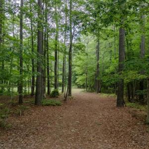 Lot 3 Peaceful Pond Drive