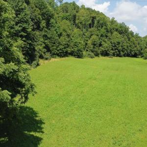 Photo #16 of 0 WILLOW BRANCH LN, FABER, VA 18.0 acres