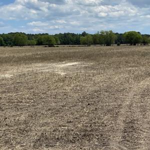 Photo #4 of 1-9 CHURCH RD, ONLEY, VA 119.0 acres