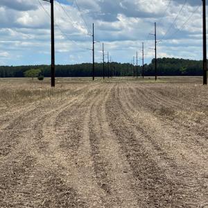 Photo #5 of 1-9 CHURCH RD, ONLEY, VA 119.0 acres