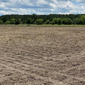 Photo #6 of 1-9 CHURCH RD, ONLEY, VA 119.0 acres