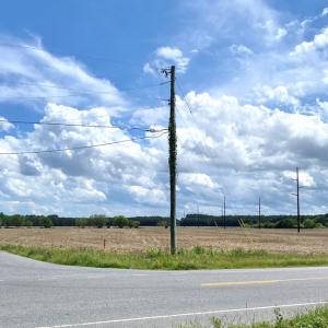 Photo #2 of 1-9 CHURCH RD, ONLEY, VA 119.0 acres