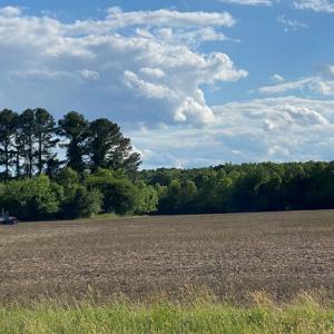 Photo #3 of AIRPORT RD, MELFA, VA 89.0 acres