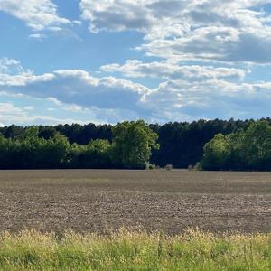 Photo #4 of AIRPORT RD, MELFA, VA 89.0 acres