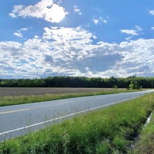 Photo #5 of AIRPORT RD, MELFA, VA 89.0 acres