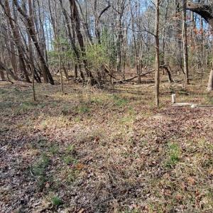Photo #10 of Lot 5 CLEARWATER WAY, BELLE HAVEN, VA 4.3 acres