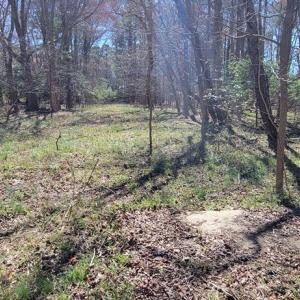 Photo #11 of Lot 5 CLEARWATER WAY, BELLE HAVEN, VA 4.3 acres