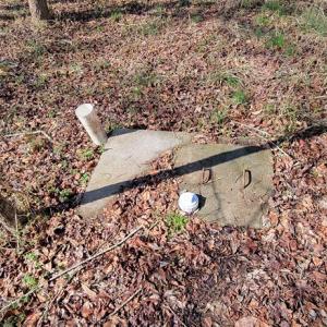 Photo #12 of Lot 5 CLEARWATER WAY, BELLE HAVEN, VA 4.3 acres