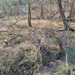 Photo #13 of Lot 5 CLEARWATER WAY, BELLE HAVEN, VA 4.3 acres