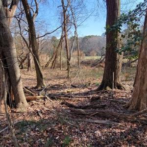 Photo #4 of Lot 5 CLEARWATER WAY, BELLE HAVEN, VA 4.3 acres