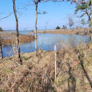 Photo #5 of Lot 5 CLEARWATER WAY, BELLE HAVEN, VA 4.3 acres