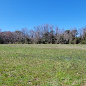 Photo #6 of Lot 5 CLEARWATER WAY, BELLE HAVEN, VA 4.3 acres